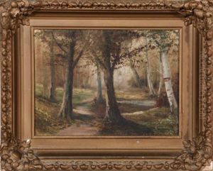 Forest Landscape by D.A. Fisher