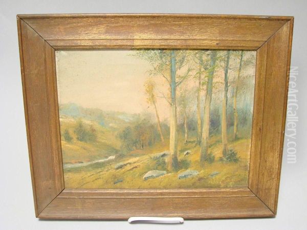 Forest Landscape - view 1