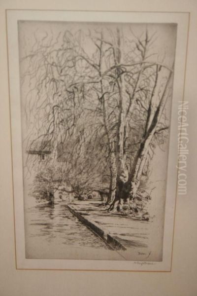 Canal With Tree - view 1
