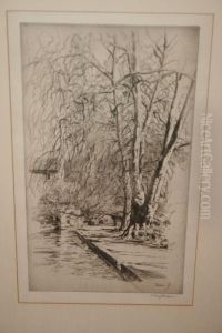 Canal With Tree by D.A. Fisher