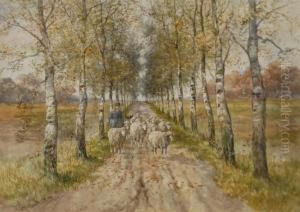 Shepherd On A Birch Lined Road