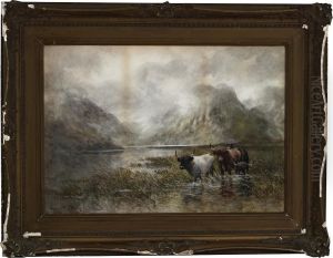 Highland Cattle Grazing by Hugo Anton Fisher