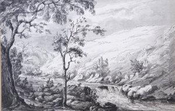 The Cascade, Curraghmore - view 1