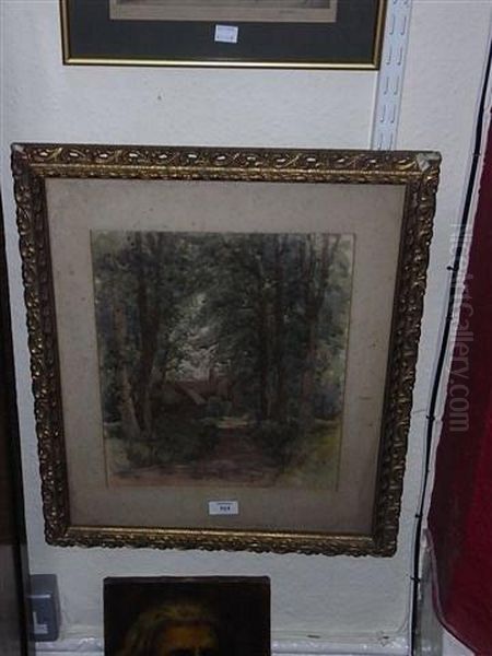 Through The Trees - view 1
