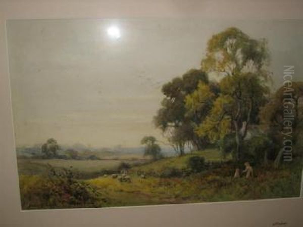 The Meadows - view 1
