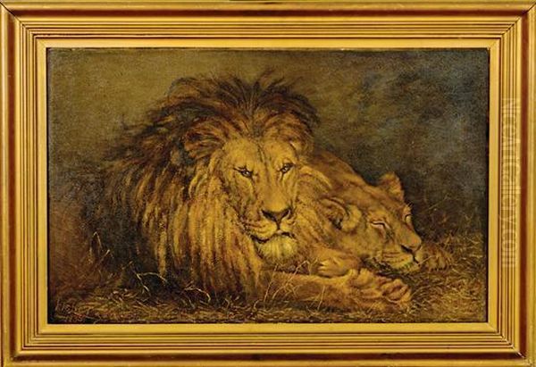 Lion And Lioness - view 1