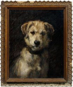 A Rough-coated Fox Terrier