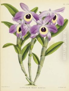 Orchid Album, Comprising Colored Figures And Decriptions Of Newrare And Beautiful Orchidaceous Plants: Six Plates by John Nugent Fitch