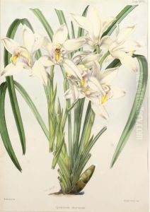 Icones Plantarum: Seven Plates by Walter Fitch