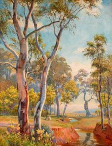 Sunshine, Wattle & Sheep - view 1