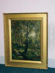 Stream In Wooded Landscape by Florence Fitzgerald