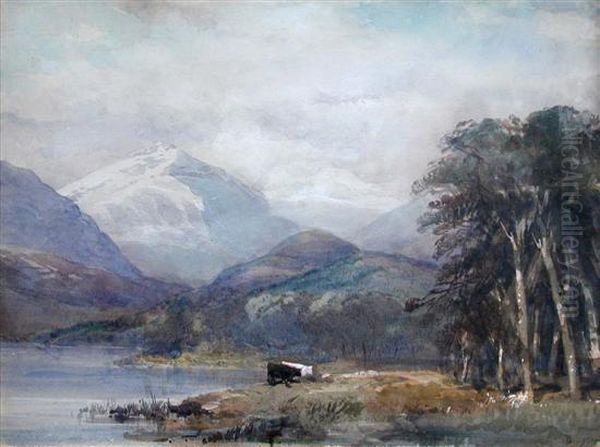 Scenes Of Norway - view 1