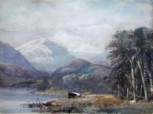 Scenes Of Norway