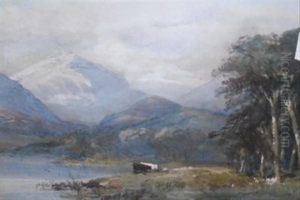 Cattle By A Norwegian Lake - view 1