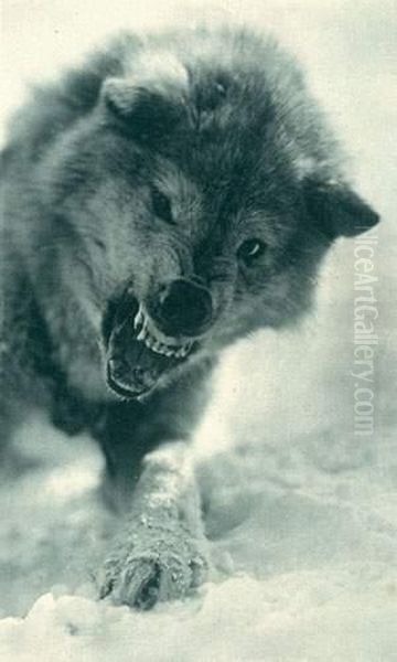 The Huskie - view 1