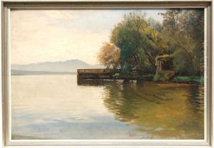 Uferlandschaft