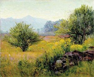 Summer Landscape Summer Landscape