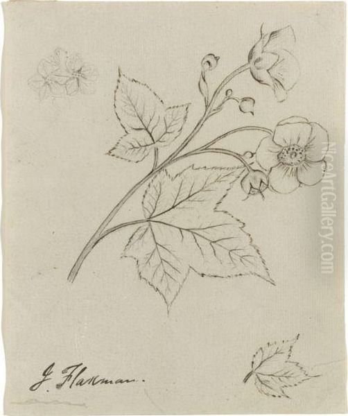 A Pair Of Botanical Studies - view 1