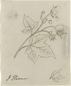 A Pair Of Botanical Studies