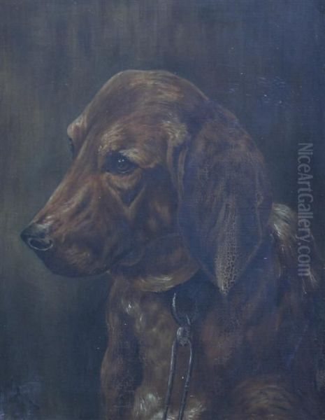 Portrait Of A Red Setter - view 1