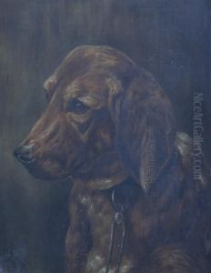 Portrait Of A Red Setter
