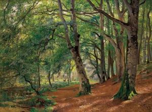 Cervi In Una Radura Nel Bosco by Paul Franz Flickel