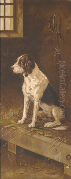 A Foxhound In A Kennel - view 1