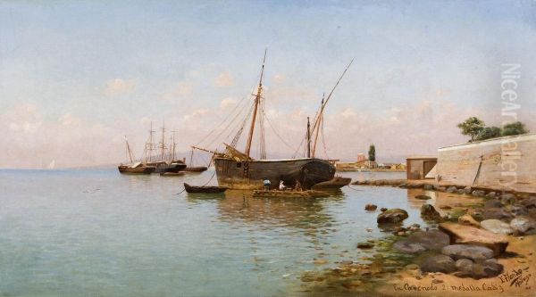 Marina - view 1