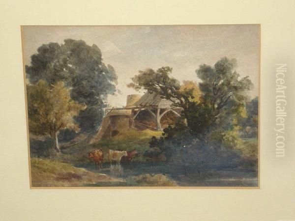 Cattle Watering At A Riverside, By A Ruined Building - view 1