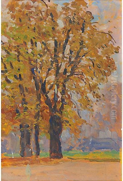 Barca E Alberi - view 1