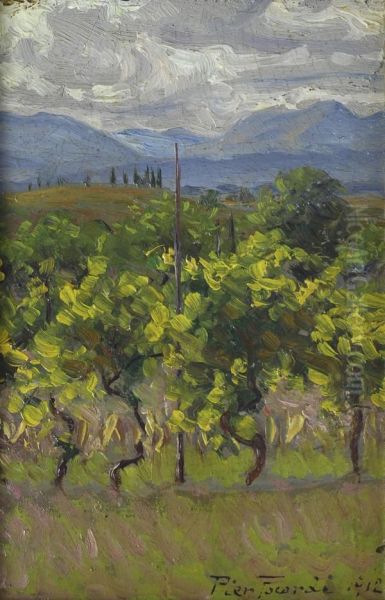 Vigneto - view 1