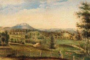Quamby Bluff, Near Hagley, Northern Tasmania