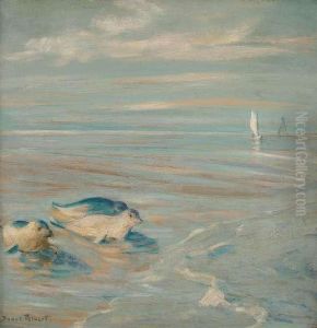 Pinnipeds