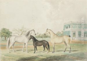 Horses And A Foal Infront Of Government House, Madras by John Joseph Foncica