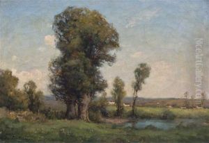 The Clearing