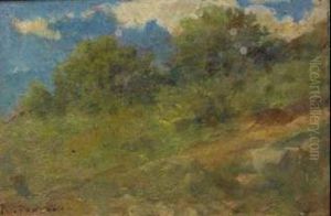 Alberi E Cielo by Roberto Fontano