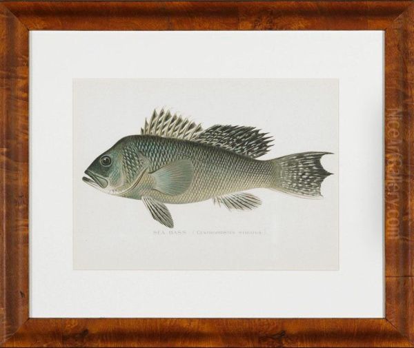 Fish Including - view 1