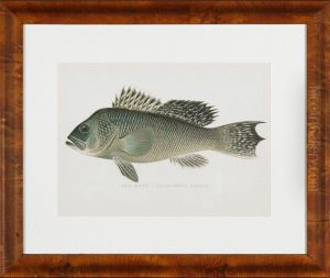 Fish Including by Sherman Foote Denton