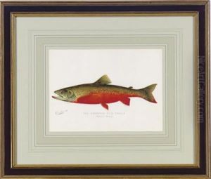 Annual Report Of The Commissioners Of Fisheries, Game And Forests Of The State Of New York: Eight Plates by Sherman Foote Denton