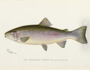 Annual Report Of The Commissioners Of Fisheries, Game And Forests Of The State Of New York: Eight Plates by Sherman Foote Denton