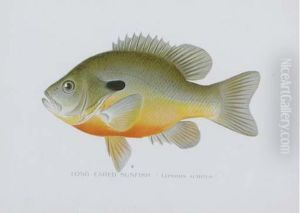 Annual Report Of The Commissioners Of Fisheries Annual Report Of The Commissioners Of Fisheries