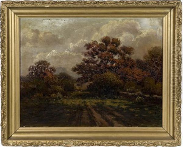 Dark Forest Landscape - view 1