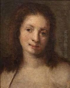 Volto Di Giovane Donna by Girolamo Forabosco