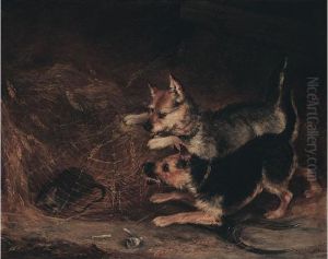 Terriers Ratting by Alexander Forbes