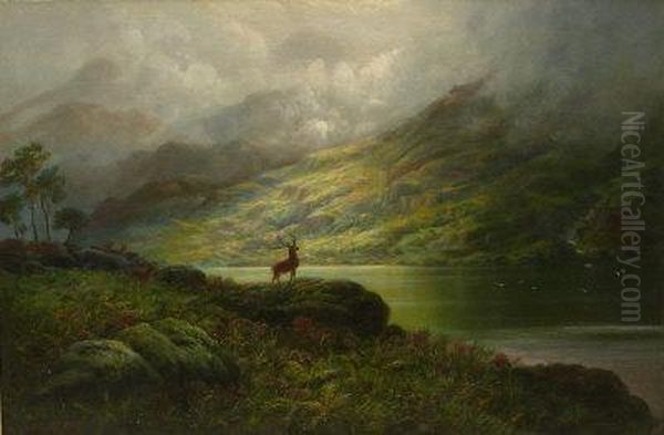 Deer In Highland Landscape - view 1