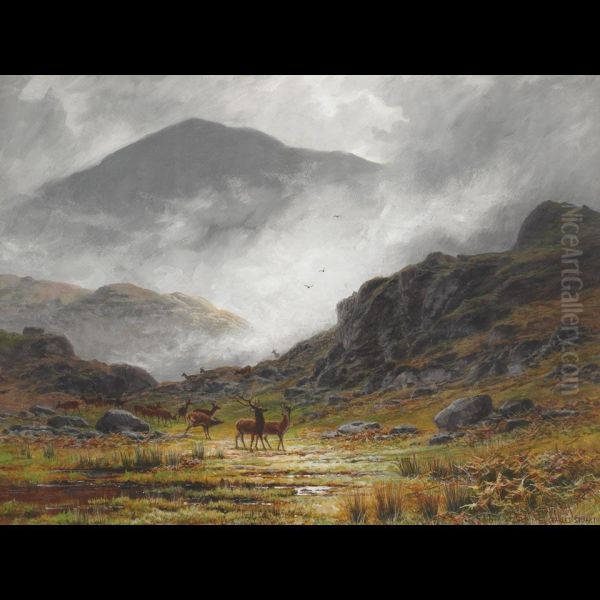 Stag Herd In The Mist - view 1