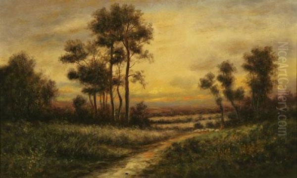 Late Afternoon - view 1
