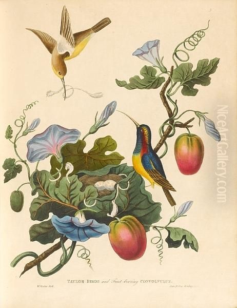 Illustrations To Oriental Memoirs - view 1