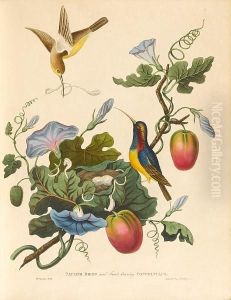 Illustrations To Oriental Memoirs by James Forbes