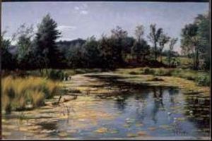 The Lily Pond by John Colin Forbes
